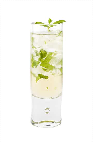 mint julep